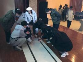 70d4f7910a9b828bd16b5161e46502e